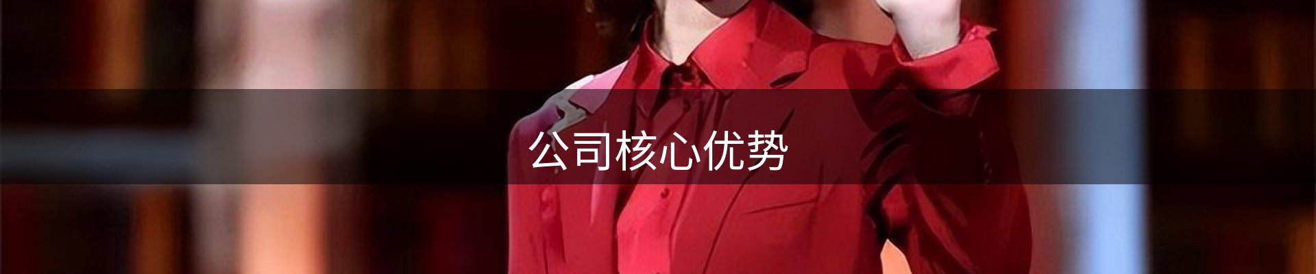 公司核心优势